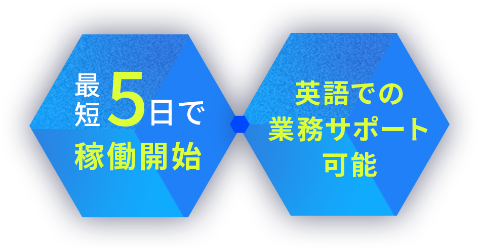 最短5日で稼働開始,英語での業務サポート可能