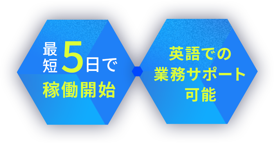 最短5日で稼働開始,英語での業務サポート可能