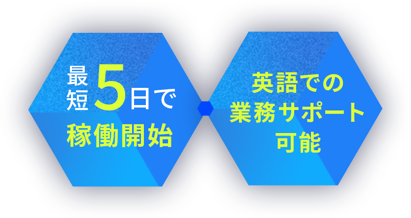 最短5日で稼働開始,英語での業務サポート可能