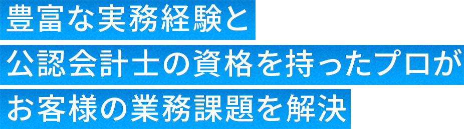豊富な実務経験と公認会計士の資格を持ったプロがお客様の業務課題を解決