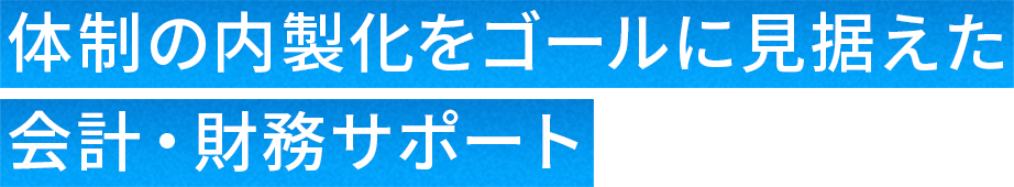 体制の内製化をゴールに見据えた会計・財務サポート